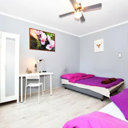 Swidnicka * Vratislav